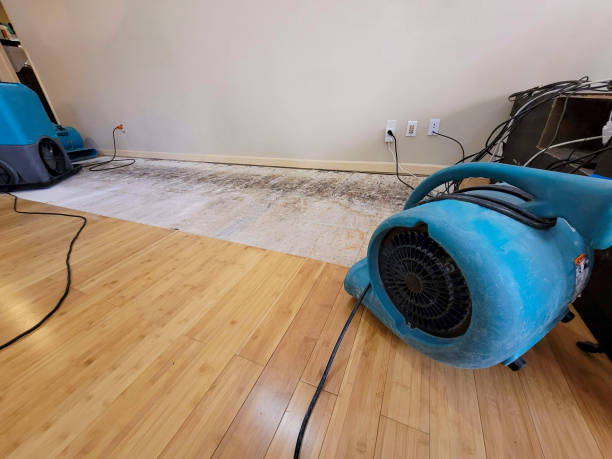 Professional Water Removal technician working in Clendenin, WV